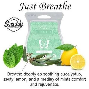 Scentsy Just Breathe wax bar melts, NEW